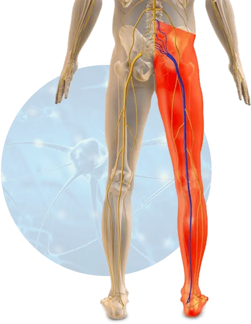 NervEase supplement results